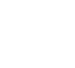 Institutul pentru Oraşe Vizionare